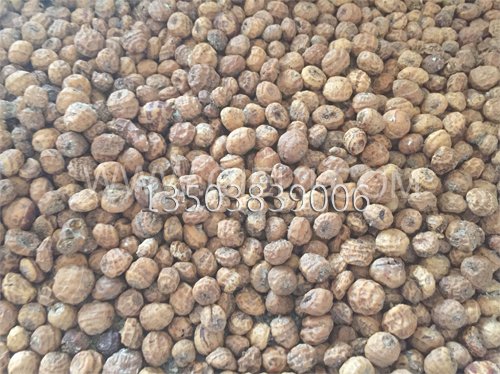 油莎豆榨油設備 冷榨莎豆油成套設備 鄭州企鵝提供此種設備(圖2) 油莎豆榨油設備 冷榨莎豆油成套設備 鄭州企鵝提供此種設備(圖2)