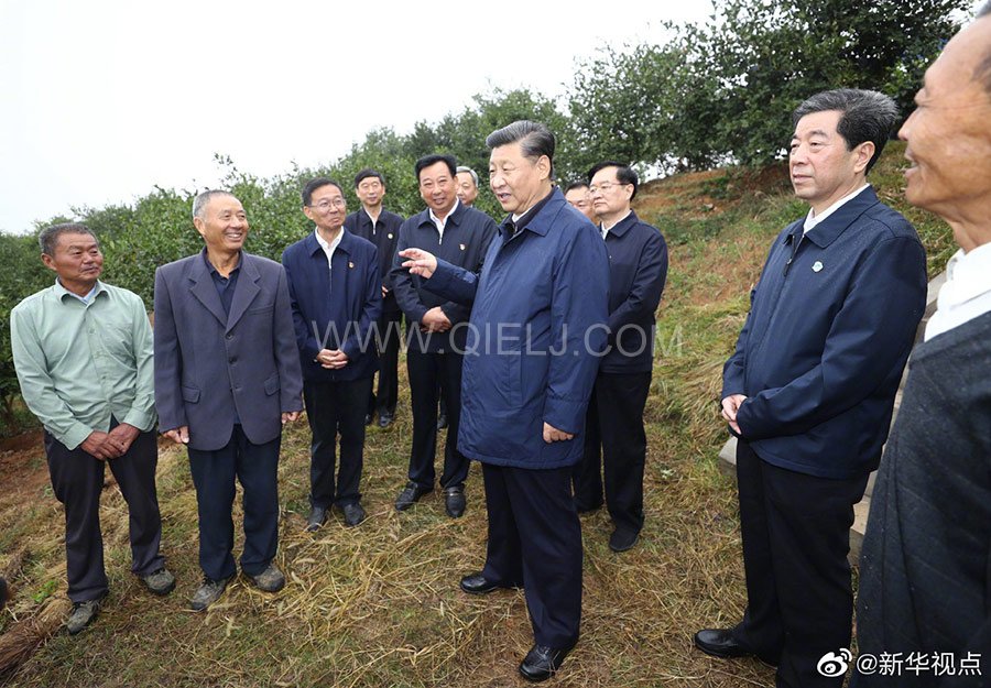 光山油茶籽榨油設備，山茶籽油榨油機廠家(圖3)